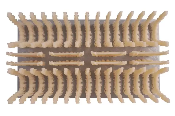 Vorübergehende Krone