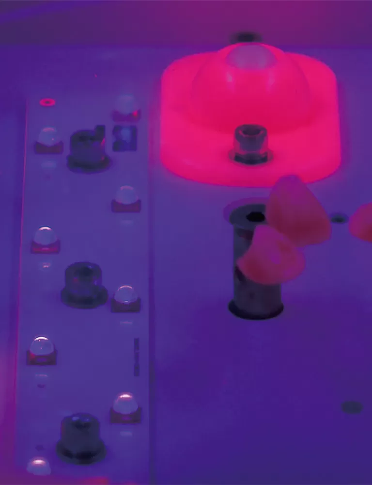 Erhöhen Sie Ihre 3D-Drucke mit profession ellen RAY SHAPE Post-Processing-Lösungen