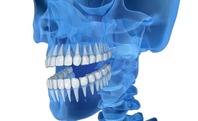 Verwandeln Sie zahnmedizin ische Präzision mit RAY SHAPE 3D-Druckern